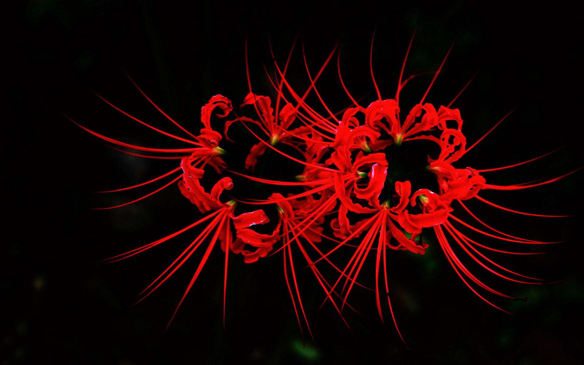 最全安妮宝贝爱情经典语录,在线阅读安妮宝贝七月与安生