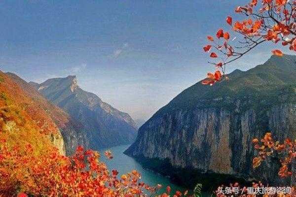 重庆主城区哪里可以看红叶,重庆看红叶哪个景点更好玩