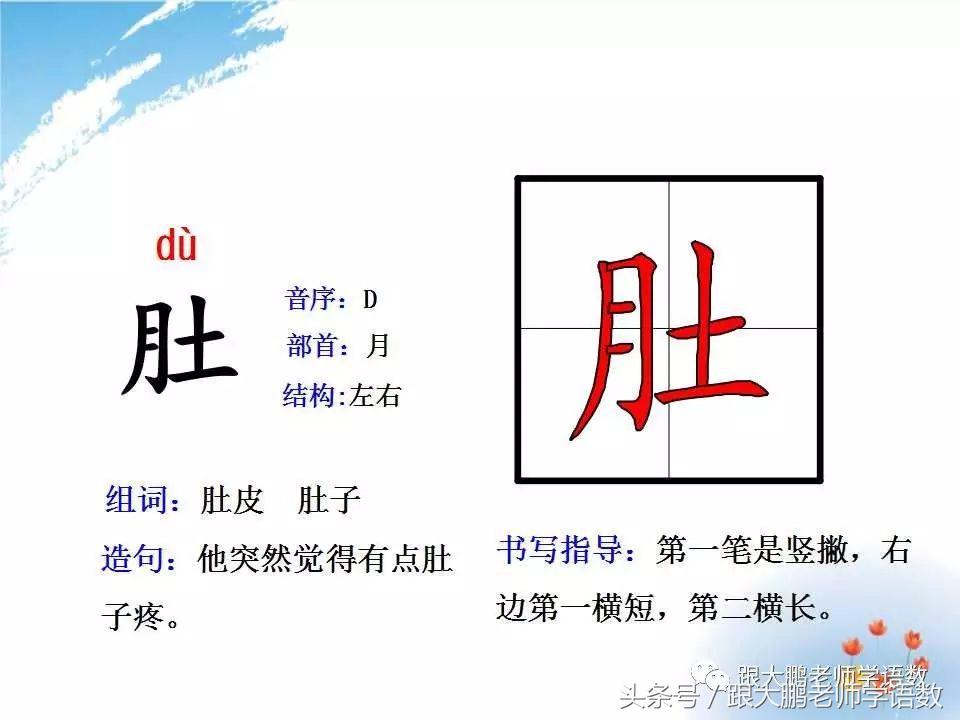 小蝌蚪找妈妈课文讲课ppt,小蝌蚪找妈妈课件