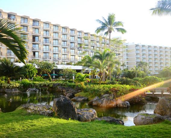 花开海上旅游攻略,花开旅行好去处