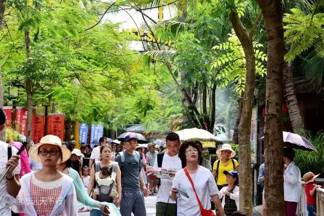 小女孩的三亚游,三亚合适小朋友玩的景区