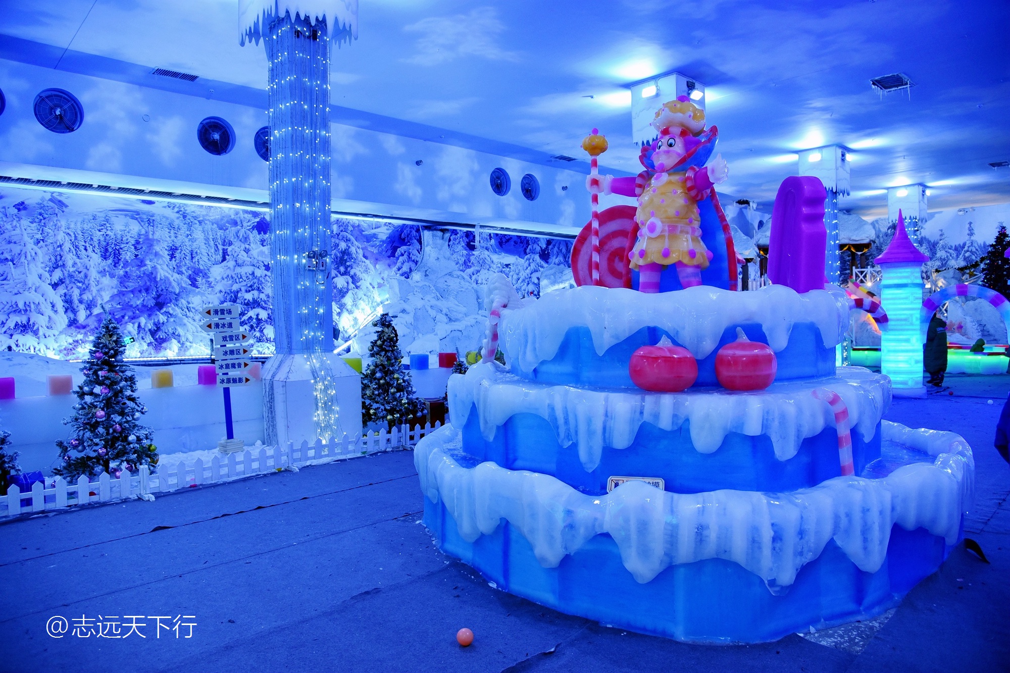 小女孩的三亚游,三亚合适小朋友玩的景区