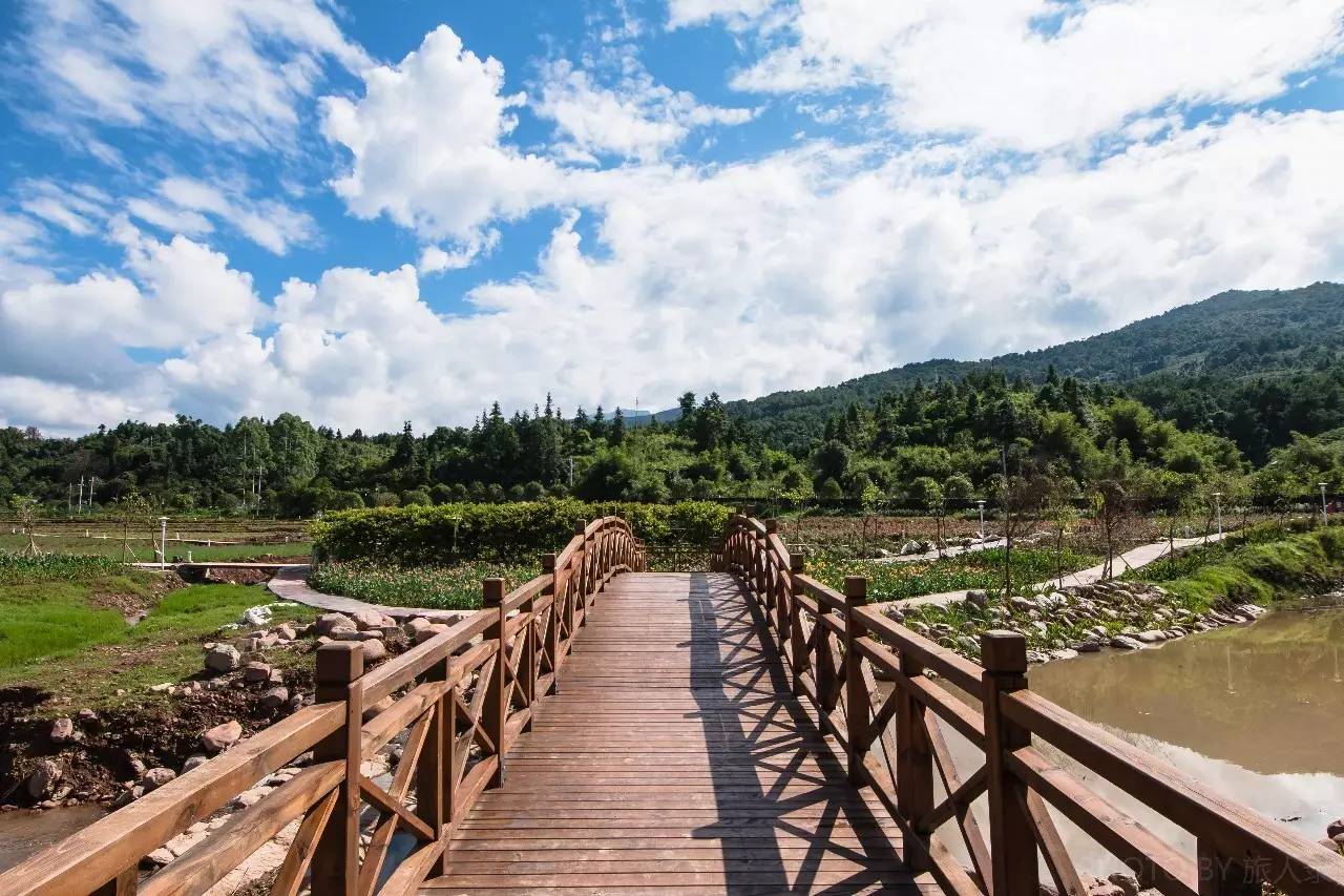 住在梦境般的黄姚花海之中，找回久违了的诗意与远方