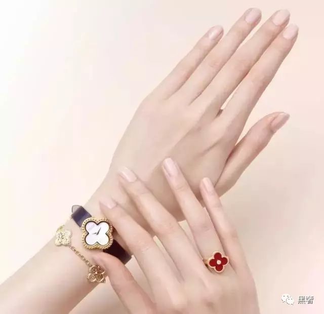 为什么这么多网红戴四叶草,被网红毁掉的植物