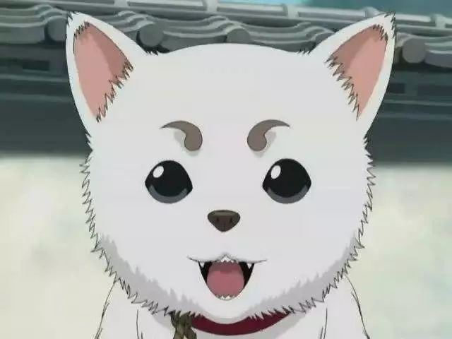 银魂真人日配版,银魂真人版部分