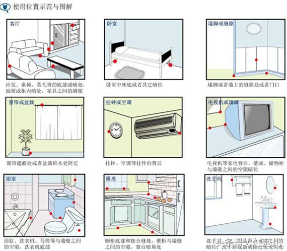 家里有蟑螂教你一招让蟑螂去无踪,蟑螂最怕这3招