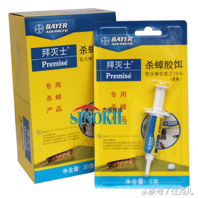 家里有蟑螂教你一招让蟑螂去无踪,蟑螂最怕这3招