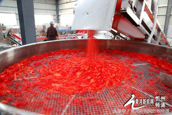 忻州辣椒之乡产业,中国忻州辣椒产业园区