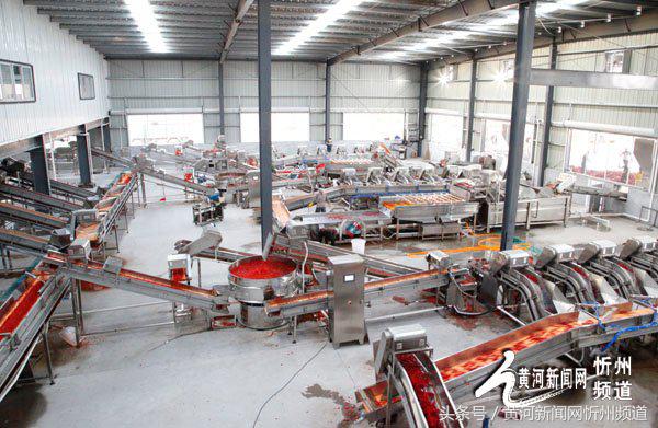 忻州辣椒之乡产业,中国忻州辣椒产业园区