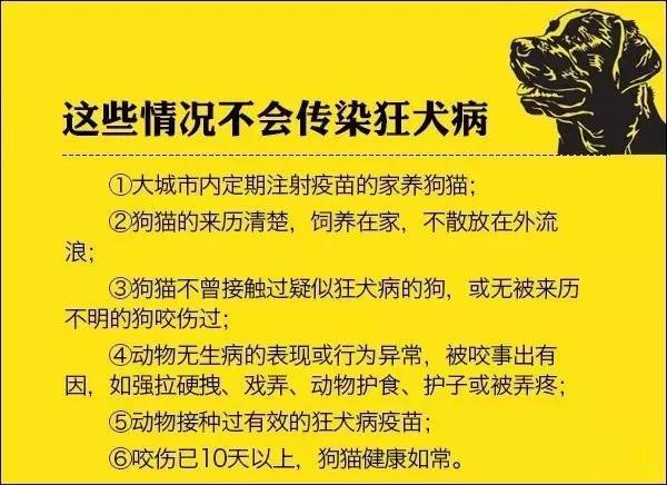 我被猫咬了会得狂犬病吗,我被猫咬了会怎样