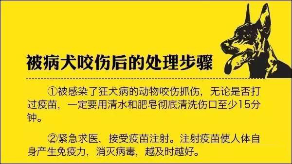 我被猫咬了会得狂犬病吗,我被猫咬了会怎样