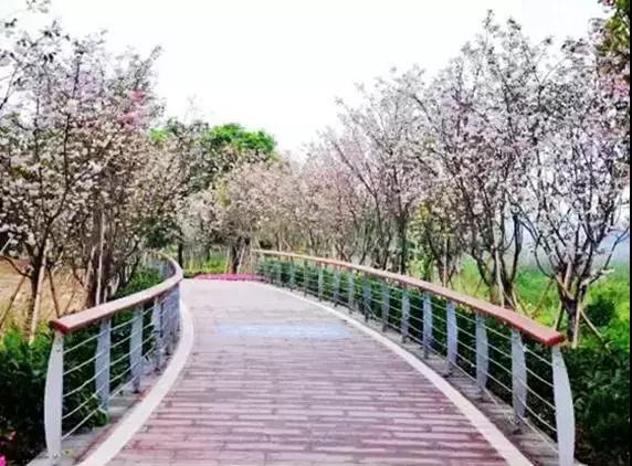 广州景点免费游玩全攻略,广州景点大全免费适合自驾游