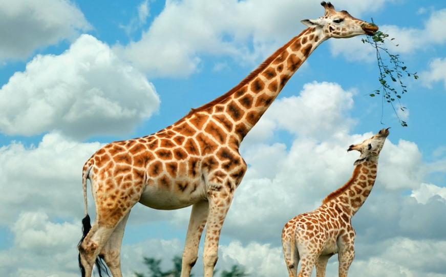 地球从来不缺少神秘,盘点地球上10大关于自然的谜团