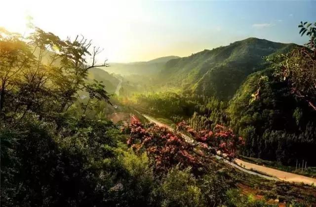 在济宁生活必须知道的这些事,实用!