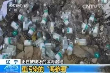 怎么选择海参呢 (自己怎么选择海参)