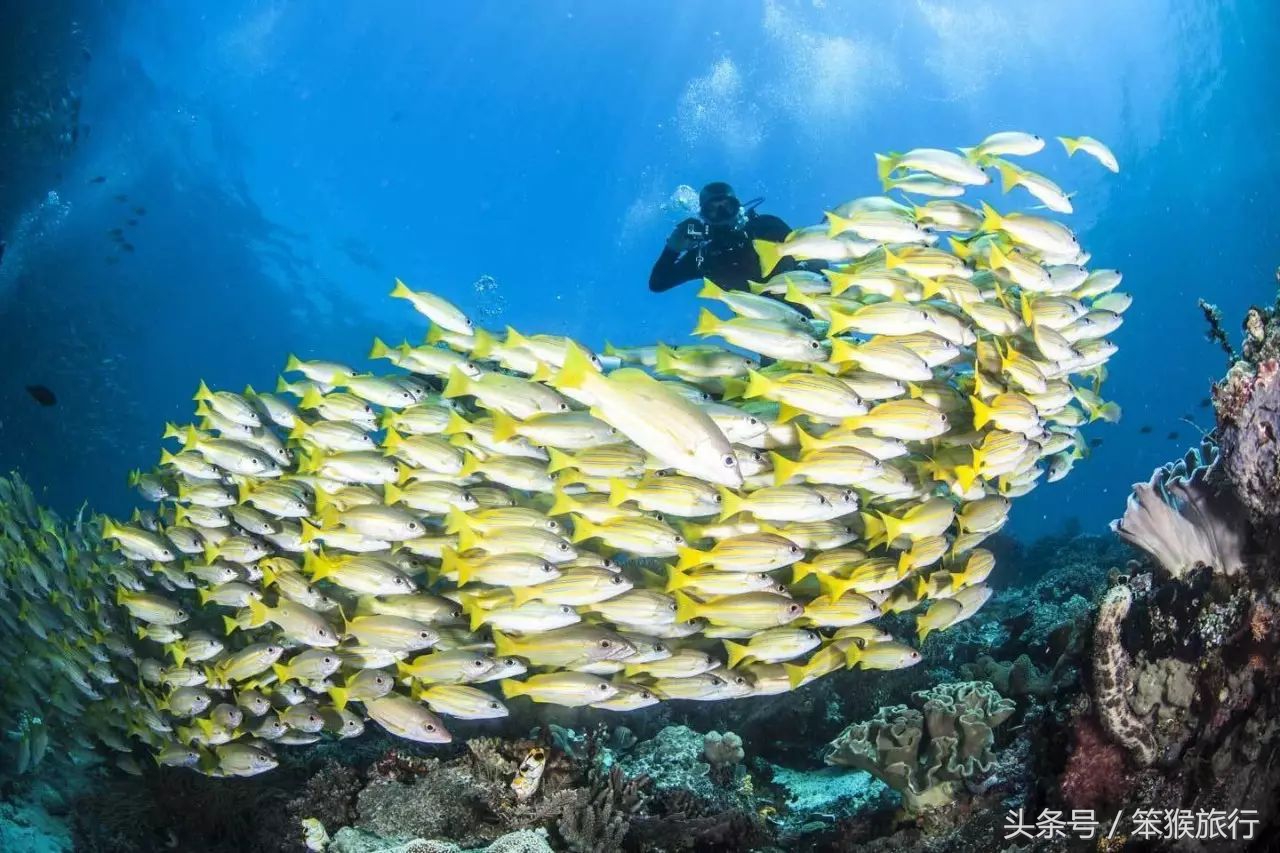 适合潜水的东南亚海岛,可以免签的冷门海岛