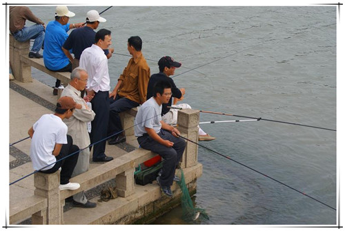 大王的钓鱼日记,钓鱼日记100个字