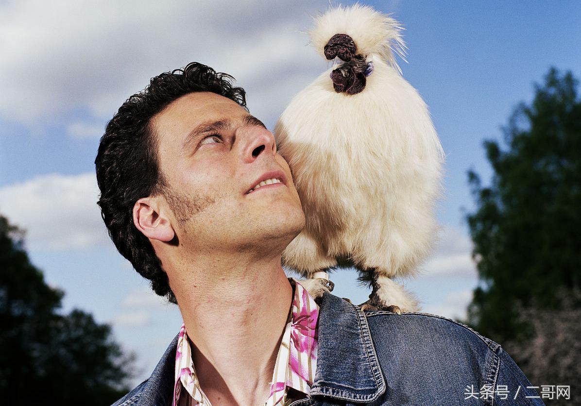 秋季乌鸡炖汤放什么材料最好,立冬进补乌鸡的正确方法