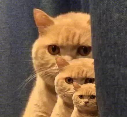 石家庄99%人的上班状态,最后一个说到心坎里了!