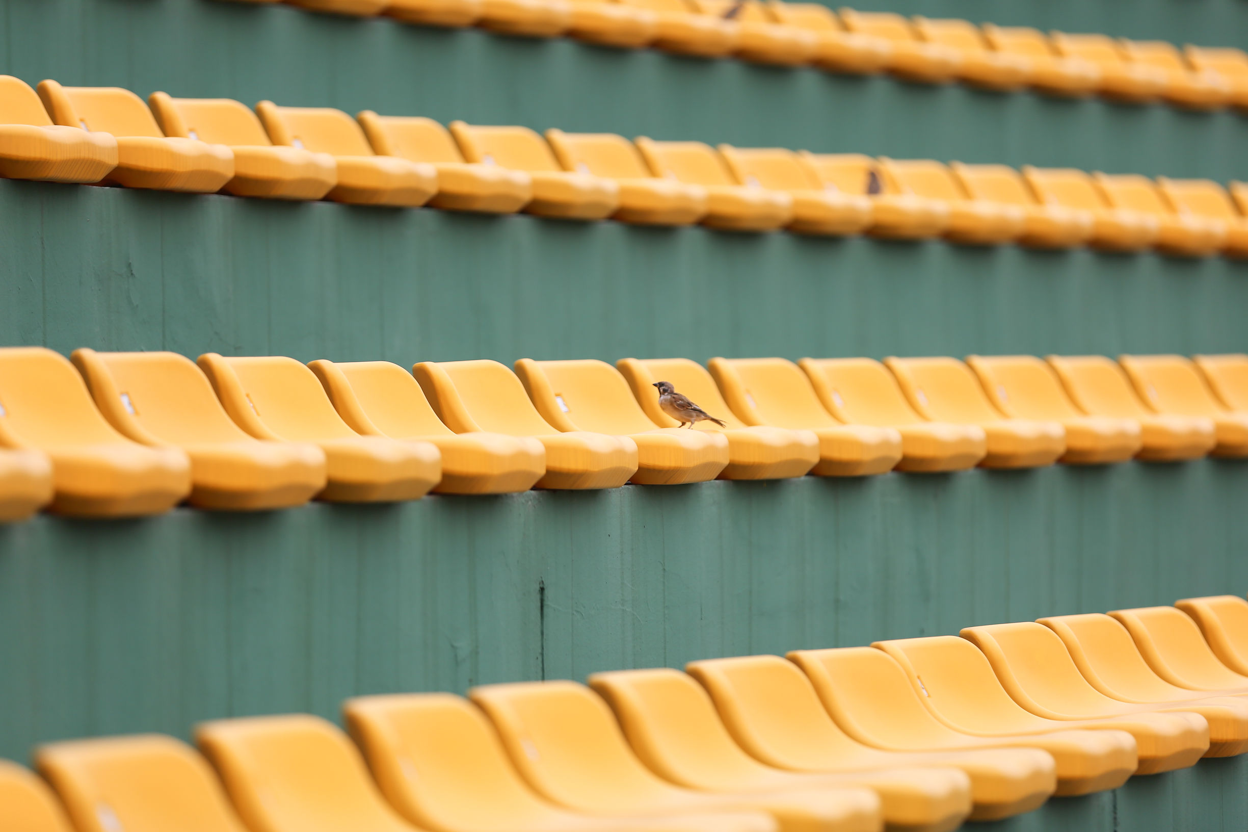 女子足球比赛精彩瞬间集锦（文末附谢震业赛事预告及抢票方式）