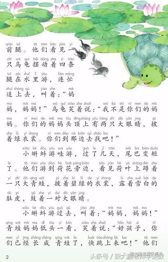 小蝌蚪找妈妈课文讲课ppt,小蝌蚪找妈妈课件