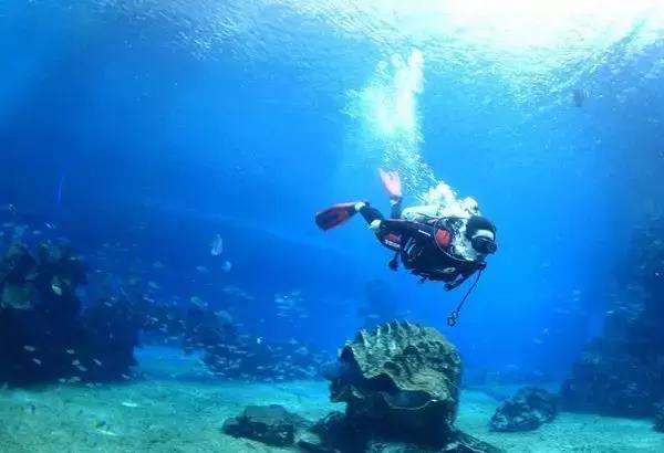 一个让人看了就想脱衣服的海岛，还能与漫天萤火虫共舞……