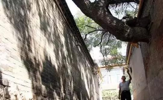 女白领醉酒后回家,28岁女孩深夜醉酒