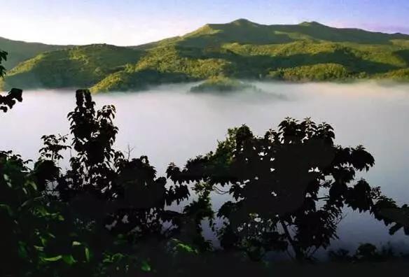 郑国渠六周年啥时候免门票,郑国渠门票免费政策学生半价吗