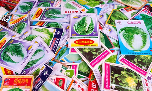 中国为什么要提高种子自给率,洋种子为何不能留种