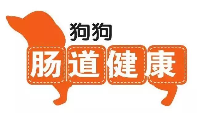 狗狗肠道出血会自愈吗,狗狗肠道破裂怎么治疗