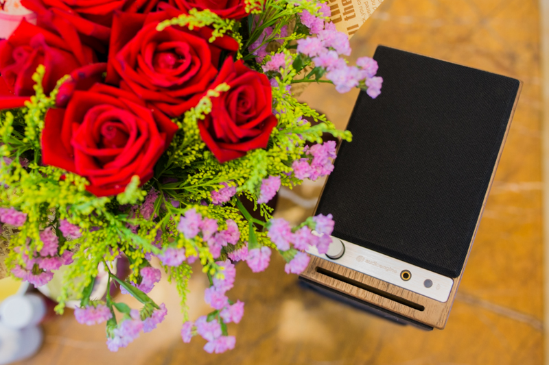 audioengine澹版搸hd3钃濈墮闊崇,澹版搸audioenginehd3杩炴帴鐢佃