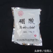 家里有蟑螂教你一招让蟑螂去无踪,蟑螂最怕这3招