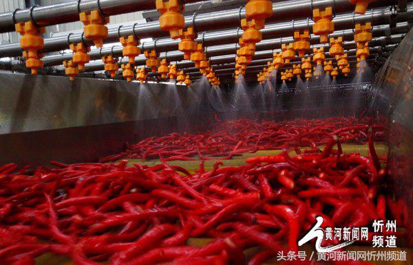 忻州辣椒之乡产业,中国忻州辣椒产业园区