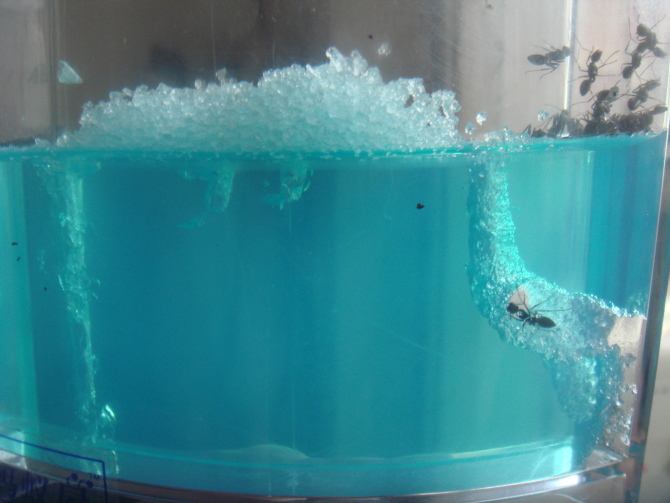 孩子必玩的五类益智玩具,这几样益智玩具让宝宝越玩越聪明