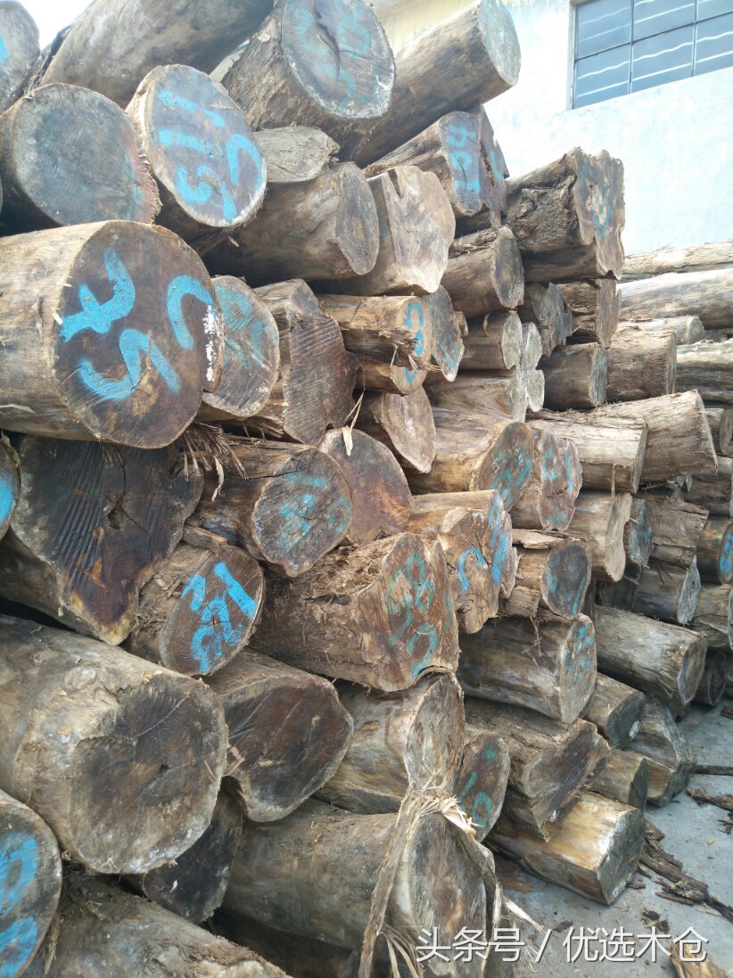 美洲胡桃木和红木家具,木材南美柚木