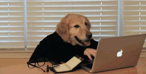 石家庄99%人的上班状态,最后一个说到心坎里了!