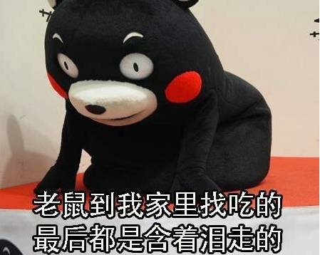 石家庄99%人的上班状态,最后一个说到心坎里了!