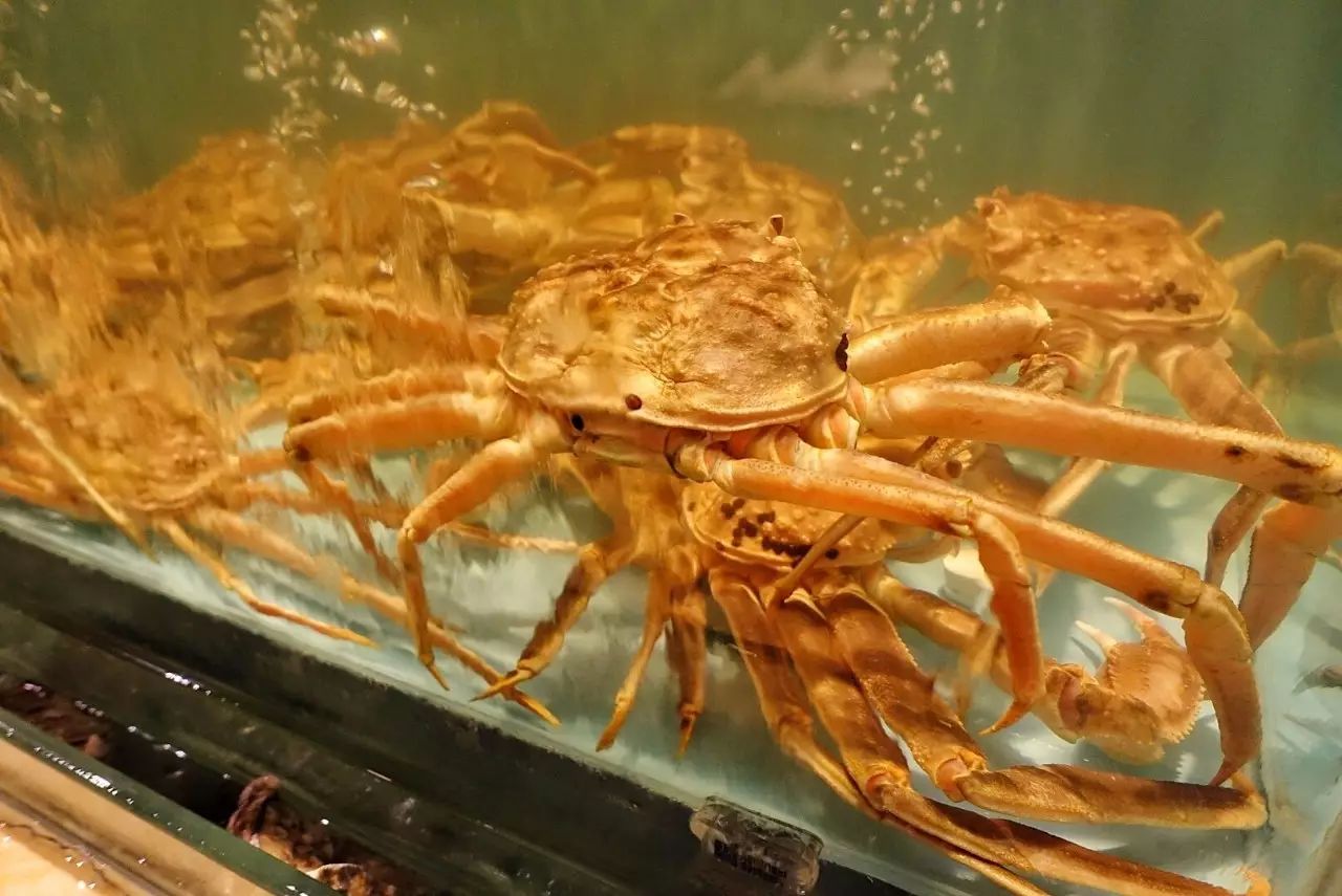 正宗南京活蟹料理,最好吃的活蟹料理