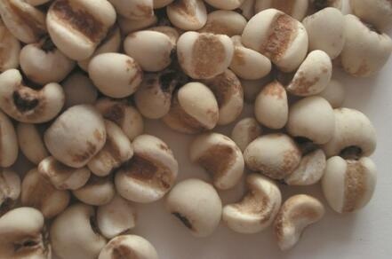 女人湿气太重了皮肤发痒怎么办,女人湿气太重喝什么茶快速祛湿