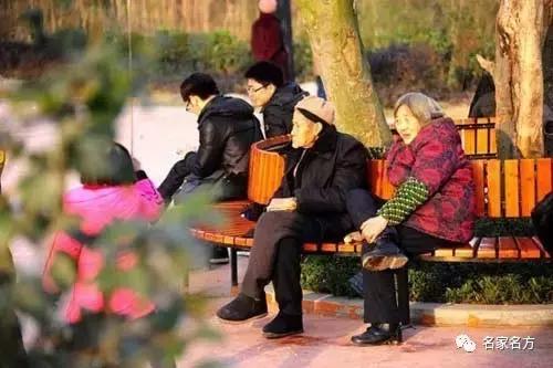 你的骨头正在泡沫化!知名康复专家:一颗洋葱就能帮你找回骨本