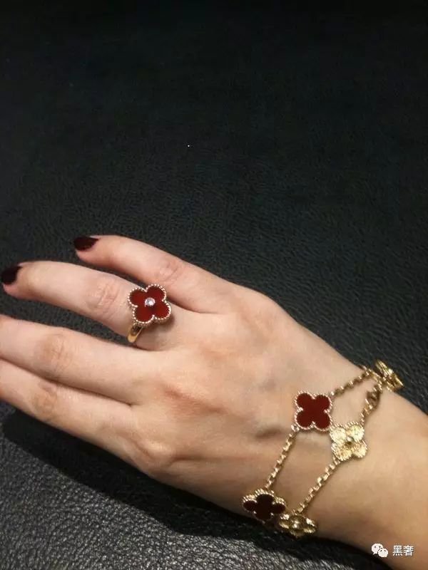 为什么这么多网红戴四叶草,被网红毁掉的植物