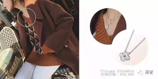 为什么这么多网红戴四叶草,被网红毁掉的植物