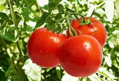 拿什么拯救你我的烦恼,拿什么拯救你我的自己