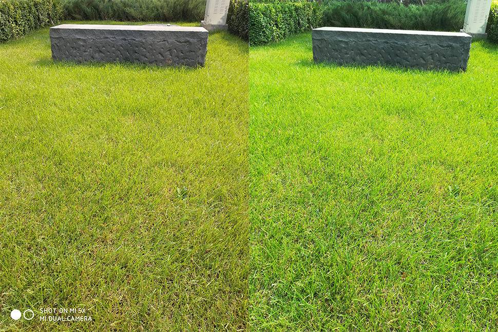 小米5X双摄究竟如何,小米5x摄影有多惊艳