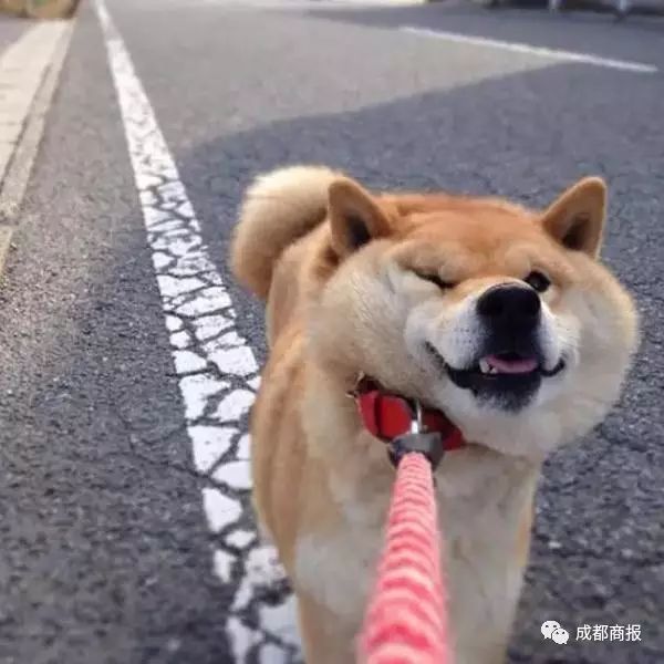 薛之谦和高磊鑫分开多久后复合,薛之谦复合前妻高磊鑫