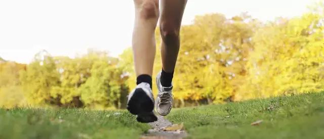澳洲维骨力的副作用和危害,维骨力澳洲和美国的哪个好