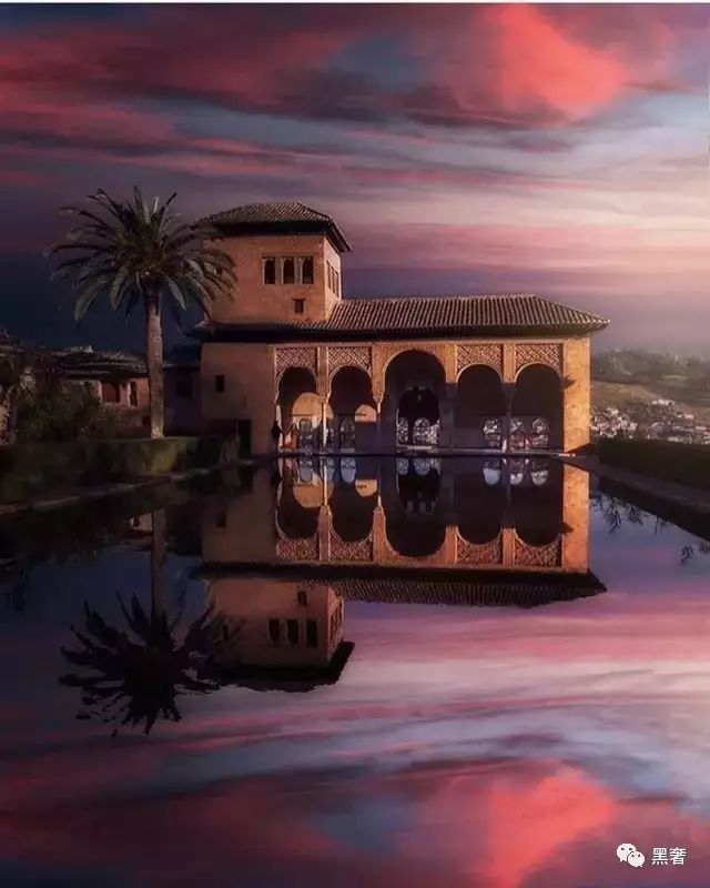 为什么这么多网红戴四叶草,被网红毁掉的植物