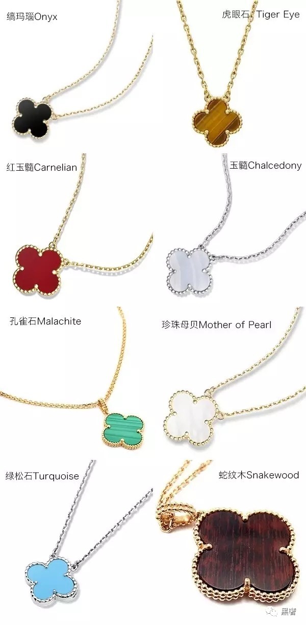 为什么这么多网红戴四叶草,被网红毁掉的植物