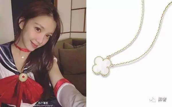 为什么这么多网红戴四叶草,被网红毁掉的植物