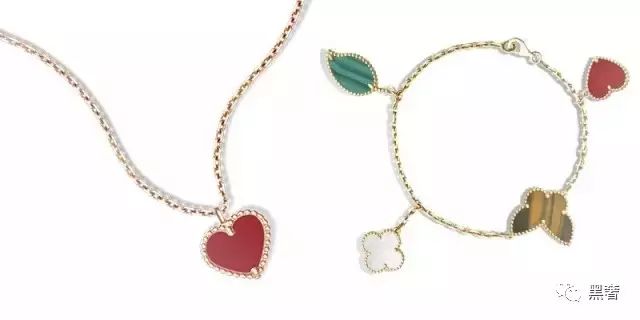 为什么这么多网红戴四叶草,被网红毁掉的植物